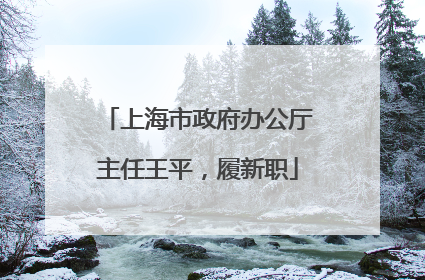 上海市政府办公厅主任王平，履新职