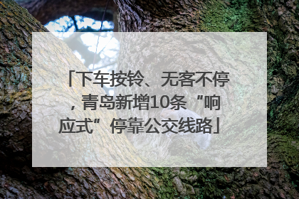 下车按铃、无客不停，青岛新增10条“响应式”停靠公交线路