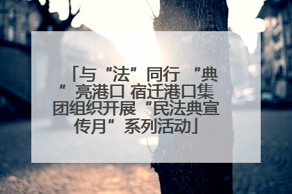 与“法”同行 “典”亮港口 宿迁港口集团组织开展“民法典宣传月”系列活动
