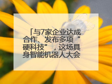 与7家企业达成合作、发布多项“硬科技”，这场具身智能机器人大会蓉城启幕