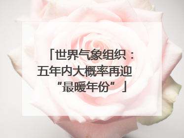 世界气象组织：五年内大概率再迎“最暖年份”