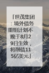 世茂集团：境外债务重组计划不晚于8月29日生效，将削债115亿美元