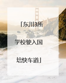 东川3所学校驶入国培快车道