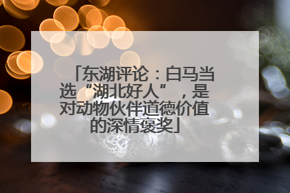 东湖评论：白马当选“湖北好人”，是对动物伙伴道德价值的深情褒奖