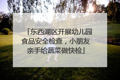 东西湖区开展幼儿园食品安全检查，小朋友亲手给蔬菜做快检