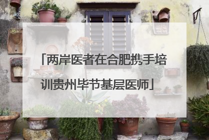 两岸医者在合肥携手培训贵州毕节基层医师