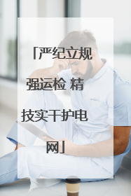 严纪立规强运检 精技实干护电网