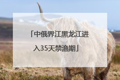 中俄界江黑龙江进入35天禁渔期