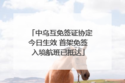 中乌互免签证协定今日生效 首架免签入境航班已抵达