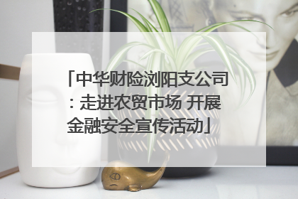 中华财险浏阳支公司：走进农贸市场 开展金融安全宣传活动