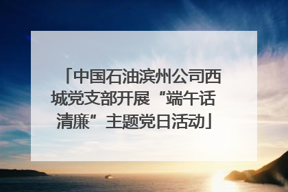中国石油滨州公司西城党支部开展“端午话清廉”主题党日活动