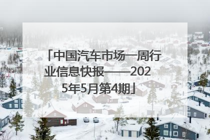 中国汽车市场一周行业信息快报——2025年5月第4期