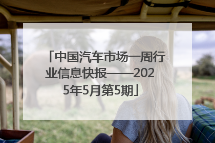 中国汽车市场一周行业信息快报——2025年5月第5期