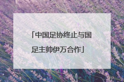 中国足协终止与国足主帅伊万合作