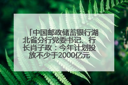 中国邮政储蓄银行湖北省分行党委书记、行长肖子政：今年计划投放不少于2000亿元支持支点建设