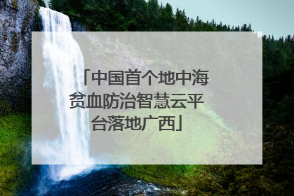 中国首个地中海贫血防治智慧云平台落地广西