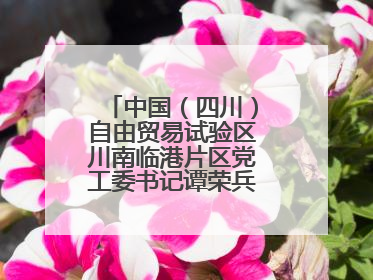 中国（四川）自由贸易试验区川南临港片区党工委书记谭荣兵一行赴岳阳城陵矶综保区考察