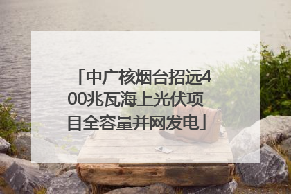 中广核烟台招远400兆瓦海上光伏项目全容量并网发电