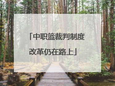 中职篮裁判制度改革仍在路上