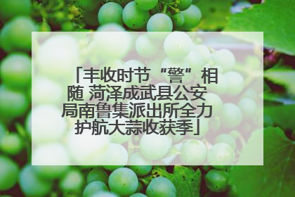 丰收时节“警”相随 菏泽成武县公安局南鲁集派出所全力护航大蒜收获季