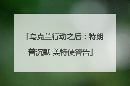 乌克兰行动之后：特朗普沉默 美特使警告