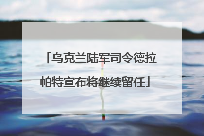 乌克兰陆军司令德拉帕特宣布将继续留任