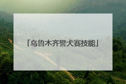 乌鲁木齐警犬赛技能