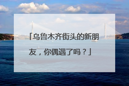 乌鲁木齐街头的新朋友，你偶遇了吗？