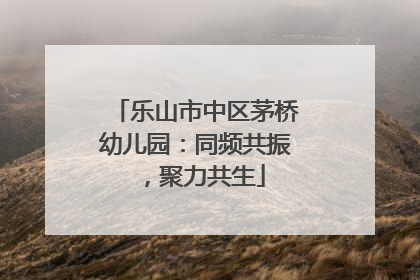 乐山市中区茅桥幼儿园：同频共振，聚力共生