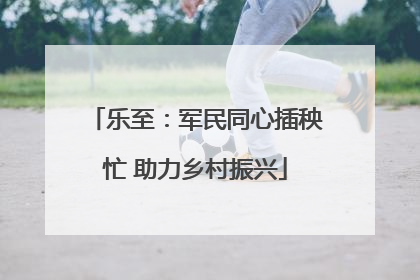 乐至：军民同心插秧忙 助力乡村振兴