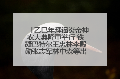 乙巳年拜谒炎帝神农大典隆重举行 铁凝巴特尔王忠林李殿勋张志军林中森等出席 孙伟主持