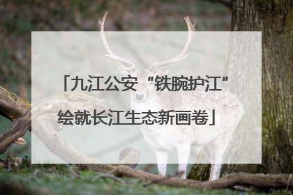 九江公安“铁腕护江”绘就长江生态新画卷