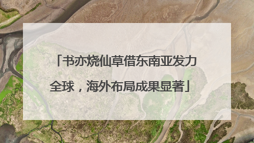 书亦烧仙草借东南亚发力全球，海外布局成果显著