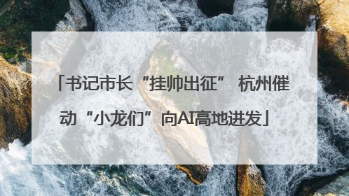 书记市长“挂帅出征” 杭州催动“小龙们”向AI高地进发