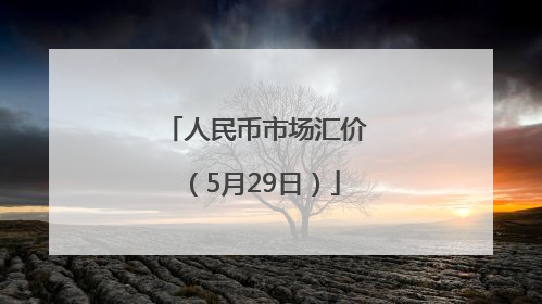 人民币市场汇价（5月29日）