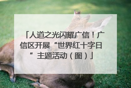 人道之光闪耀广信！广信区开展“世界红十字日”主题活动（图）