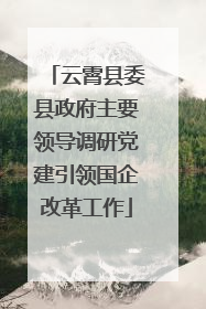 云霄县委县政府主要领导调研党建引领国企改革工作