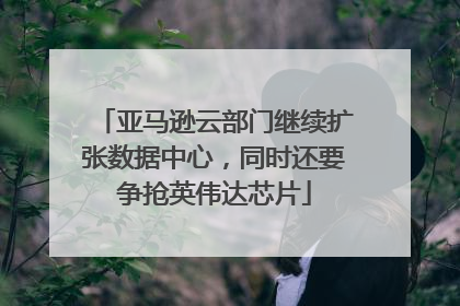 亚马逊云部门继续扩张数据中心，同时还要争抢英伟达芯片