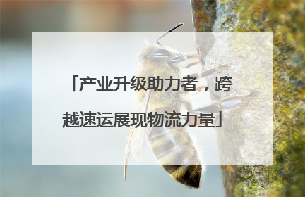 产业升级助力者，跨越速运展现物流力量