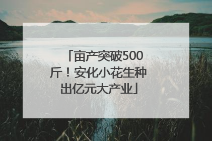 亩产突破500斤！安化小花生种出亿元大产业