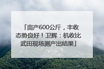 亩产600公斤，丰收态势良好！卫辉：机收比武田现场测产出结果