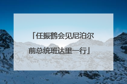 任振鹤会见尼泊尔前总统班达里一行