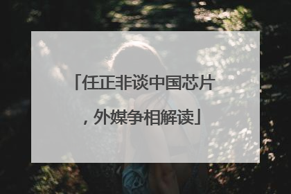 任正非谈中国芯片，外媒争相解读