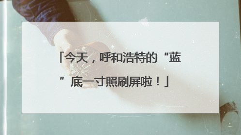 今天，呼和浩特的“蓝”底一寸照刷屏啦！