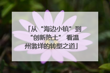 从“海边小镇”到“创新热土” 看温州翁垟的转型之道