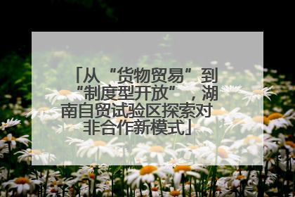 从“货物贸易”到“制度型开放”，湖南自贸试验区探索对非合作新模式