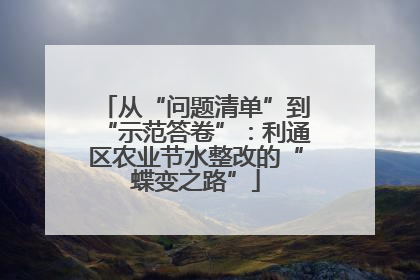 从“问题清单”到“示范答卷”：利通区农业节水整改的“蝶变之路”