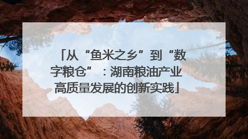 从“鱼米之乡”到“数字粮仓”：湖南粮油产业高质量发展的创新实践