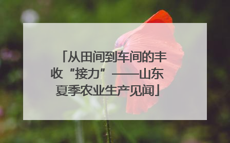 从田间到车间的丰收“接力”——山东夏季农业生产见闻