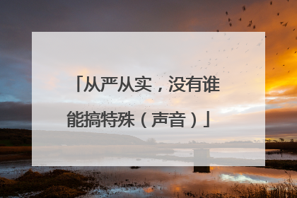 从严从实，没有谁能搞特殊（声音）